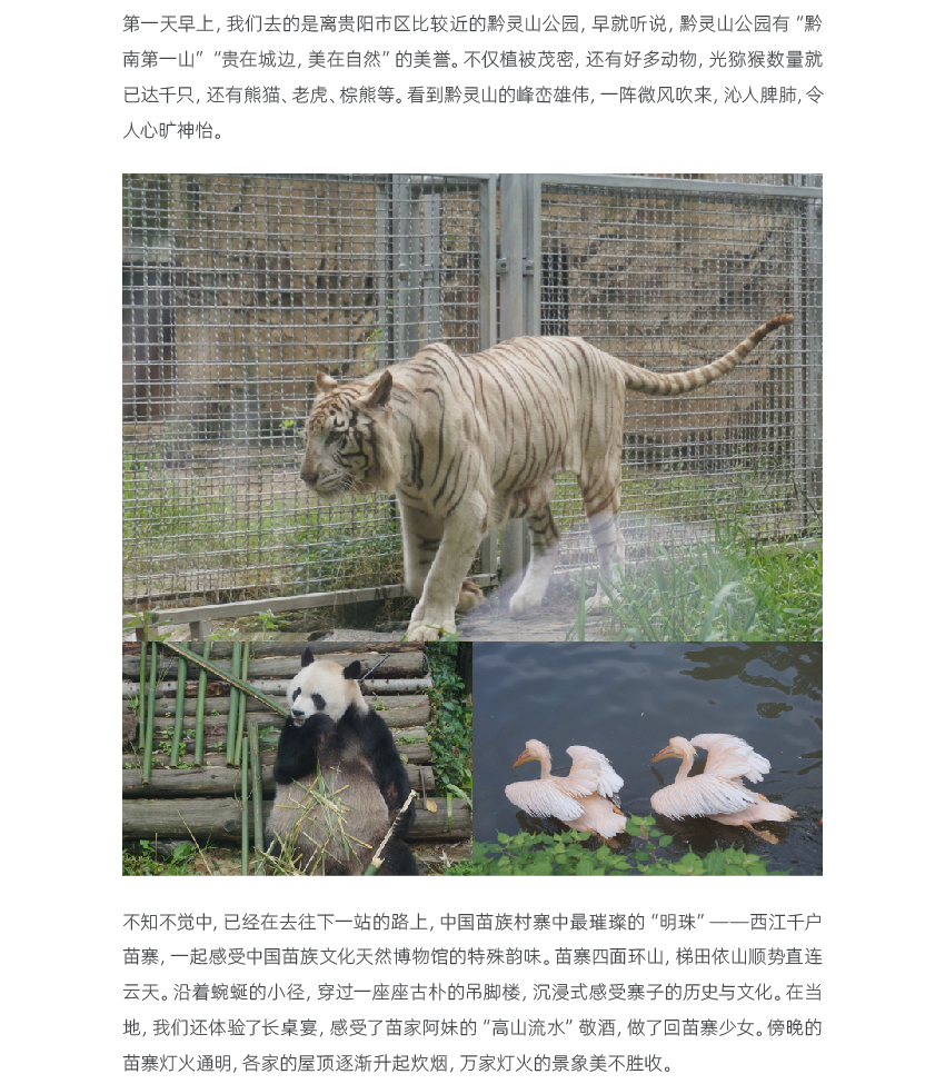 2.6-官網(wǎng)聯(lián)信風(fēng)采-?？赺畫板-1_02.jpg
